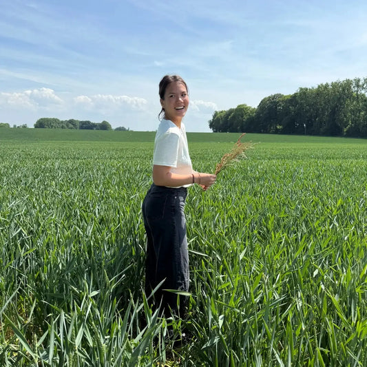 T-shirt Gabriel - Écru Lin de France