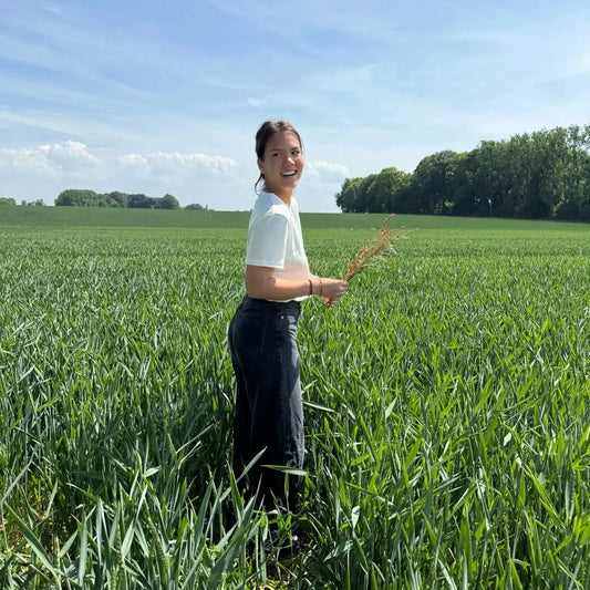 T-shirt Gabriel - Écru Lin de France