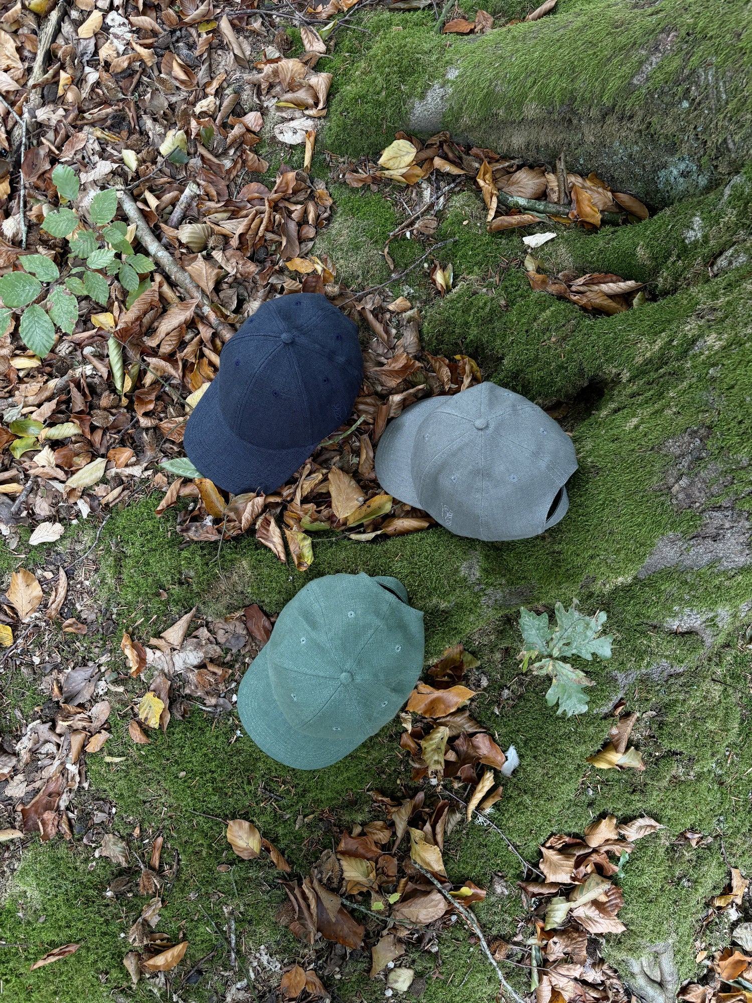 photo de trois casquettes en lin dans un champs de lin en Normandie pendant le rouissage